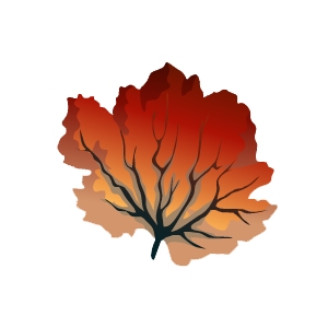 Autumn Sea Fan